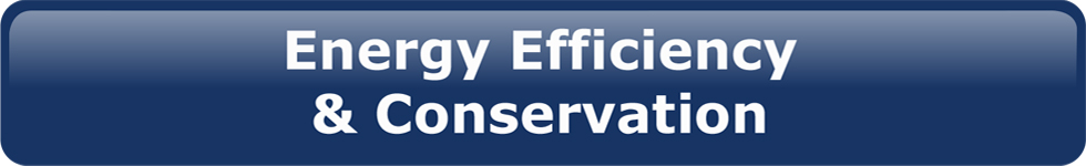 Energy efficiency and conservation button