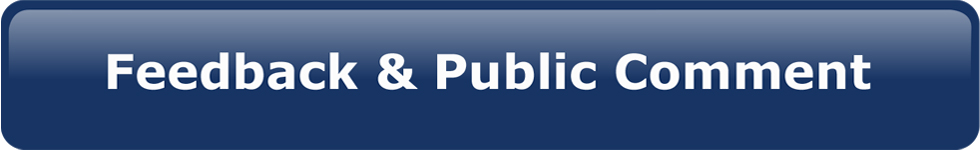 Feedback and public comment button