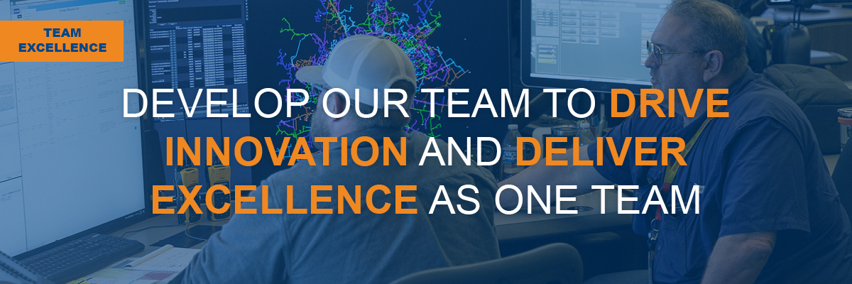 TEAM EXCELLENCE:  DEVELOP OUR TEAM TO DRIVE INNOVATION ANDDELIVER EXCELLENCE AS ONE TEAM 