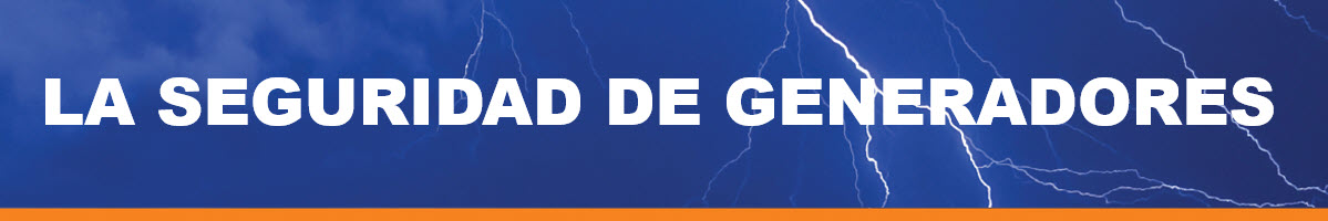 LA SEGURIDAD DE GENERADORES