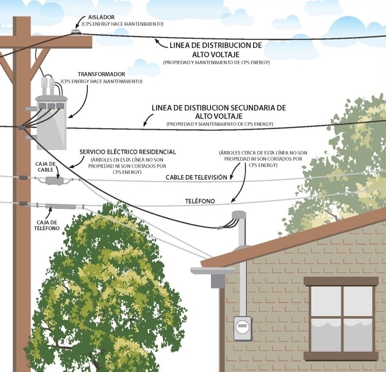 Seguridad al podar árboles